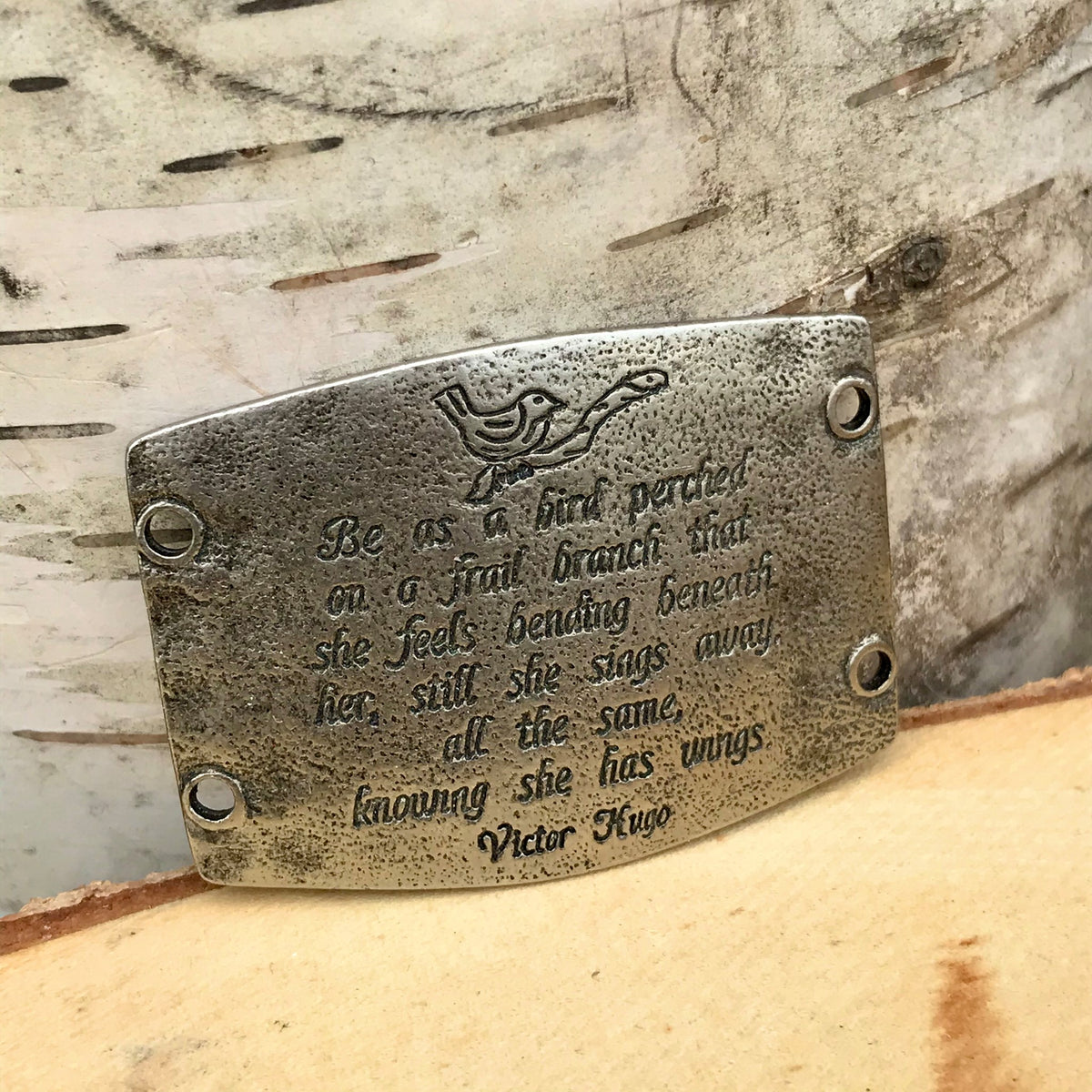 "Be as a bird perched on a frail branch that she feels bending beneath her, still she sings away all the same, knowing she has wings." -Victor Hugo (silver)