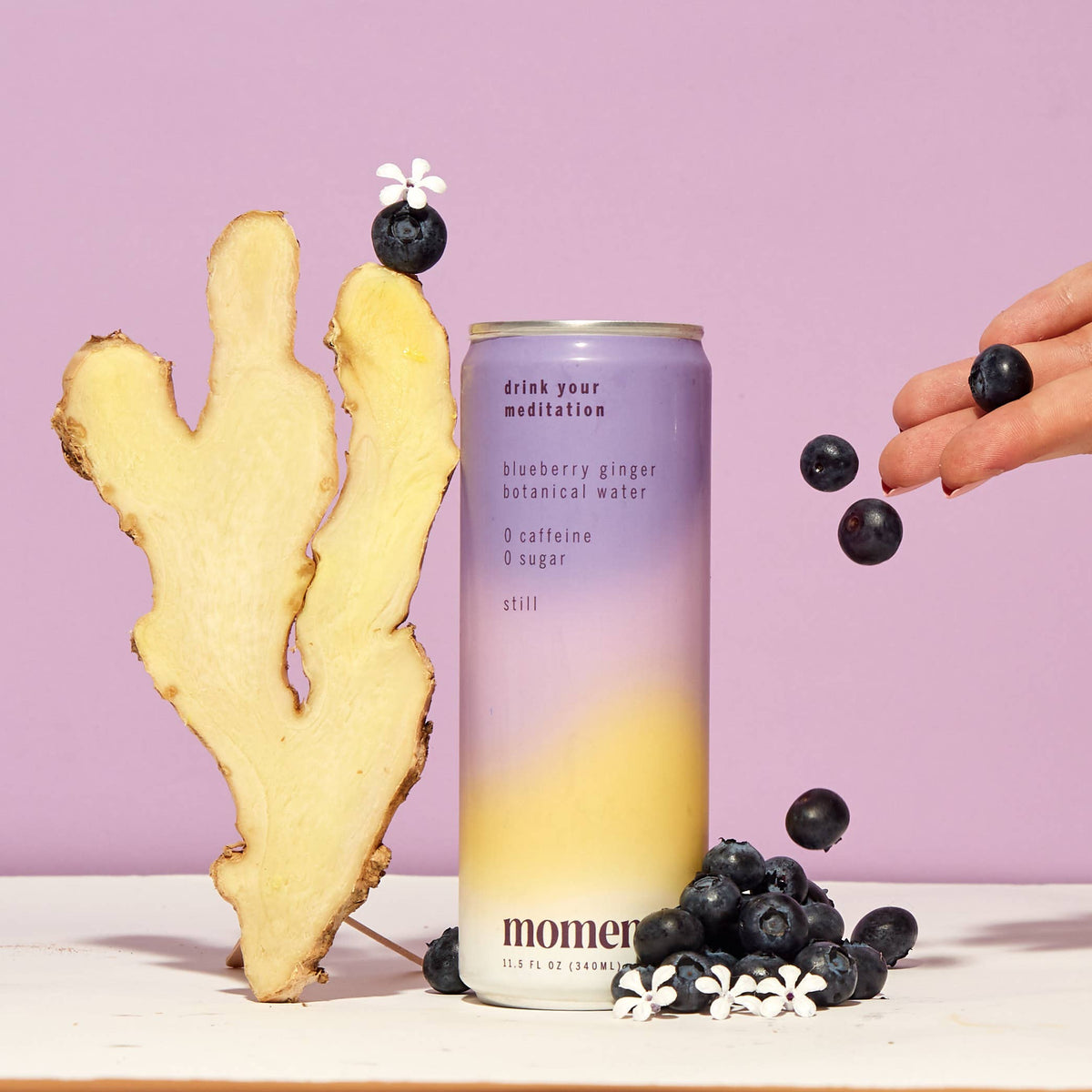 Purple and yellow can of Blueberry Ginger botanical water next to a ginger root and blueberries.
