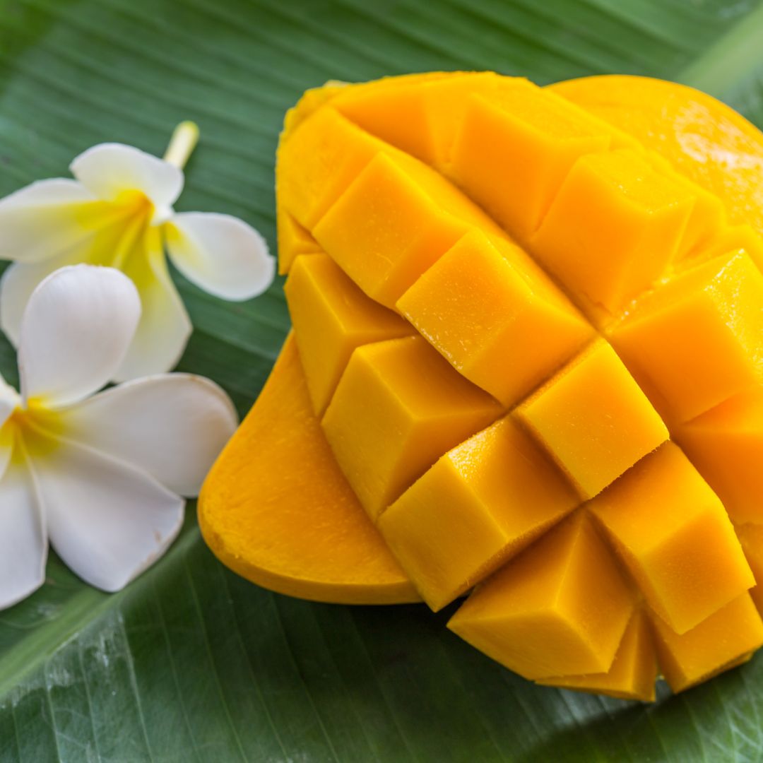 Mango fruit