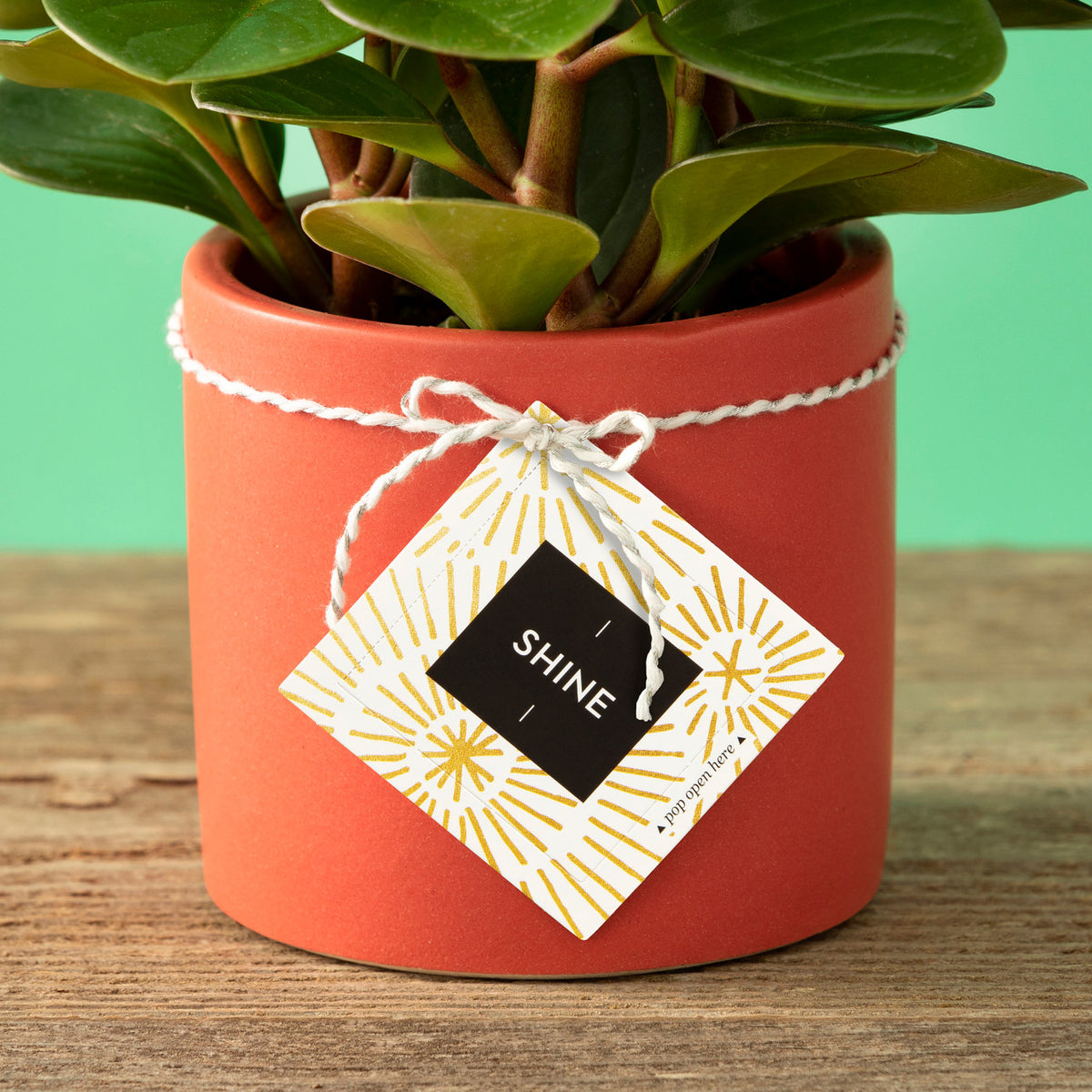 Shine card attached to a gift