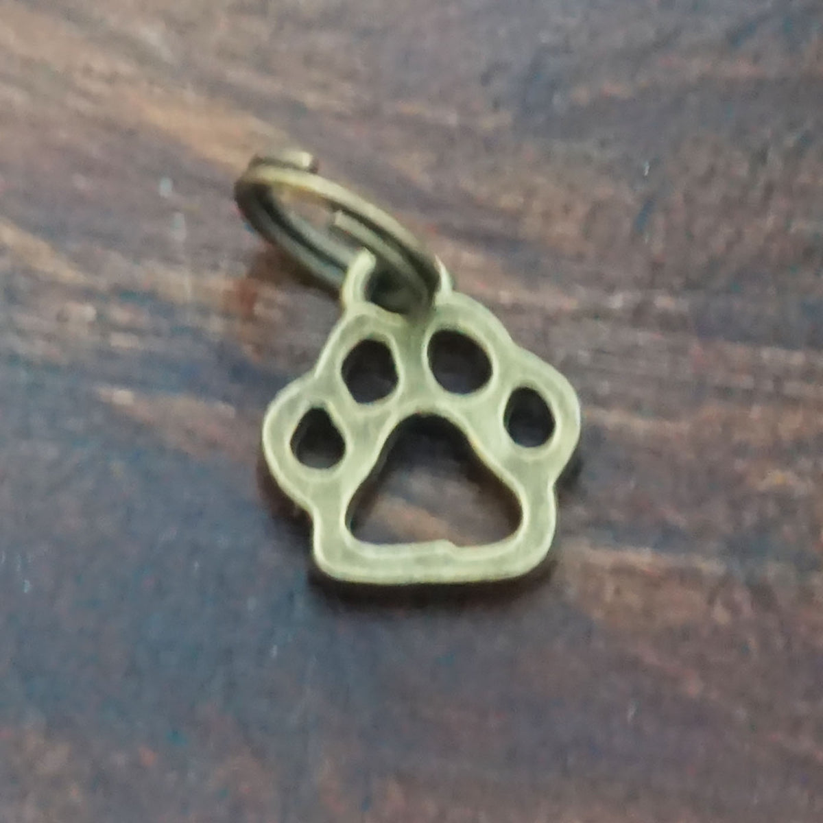 Brass Paw Print Charm