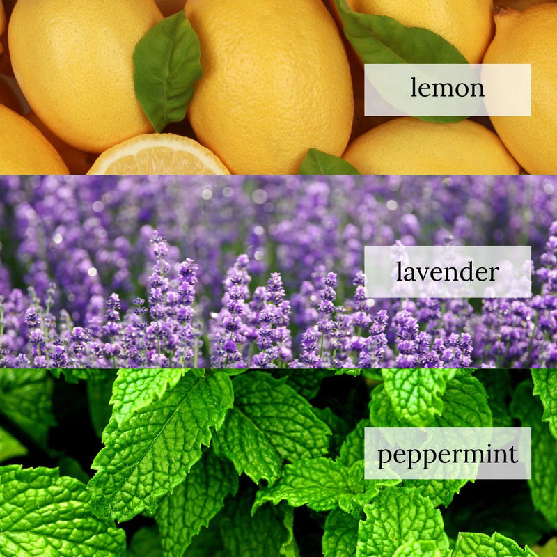 Lemons, lavender plant, and peppermint leaves