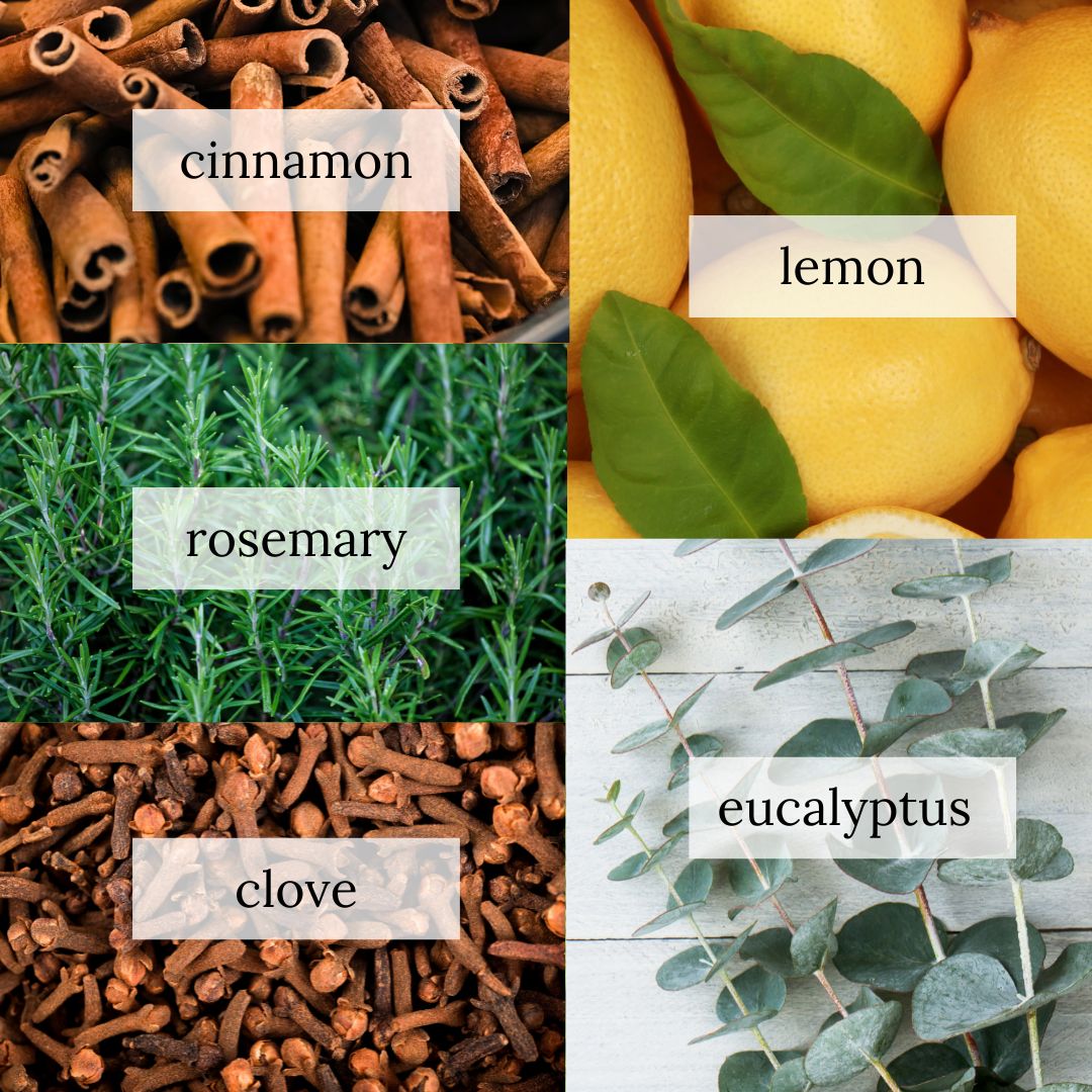 Cinnamon sticks, rosemary plant, clove buds, lemons, and eucalyptus plant