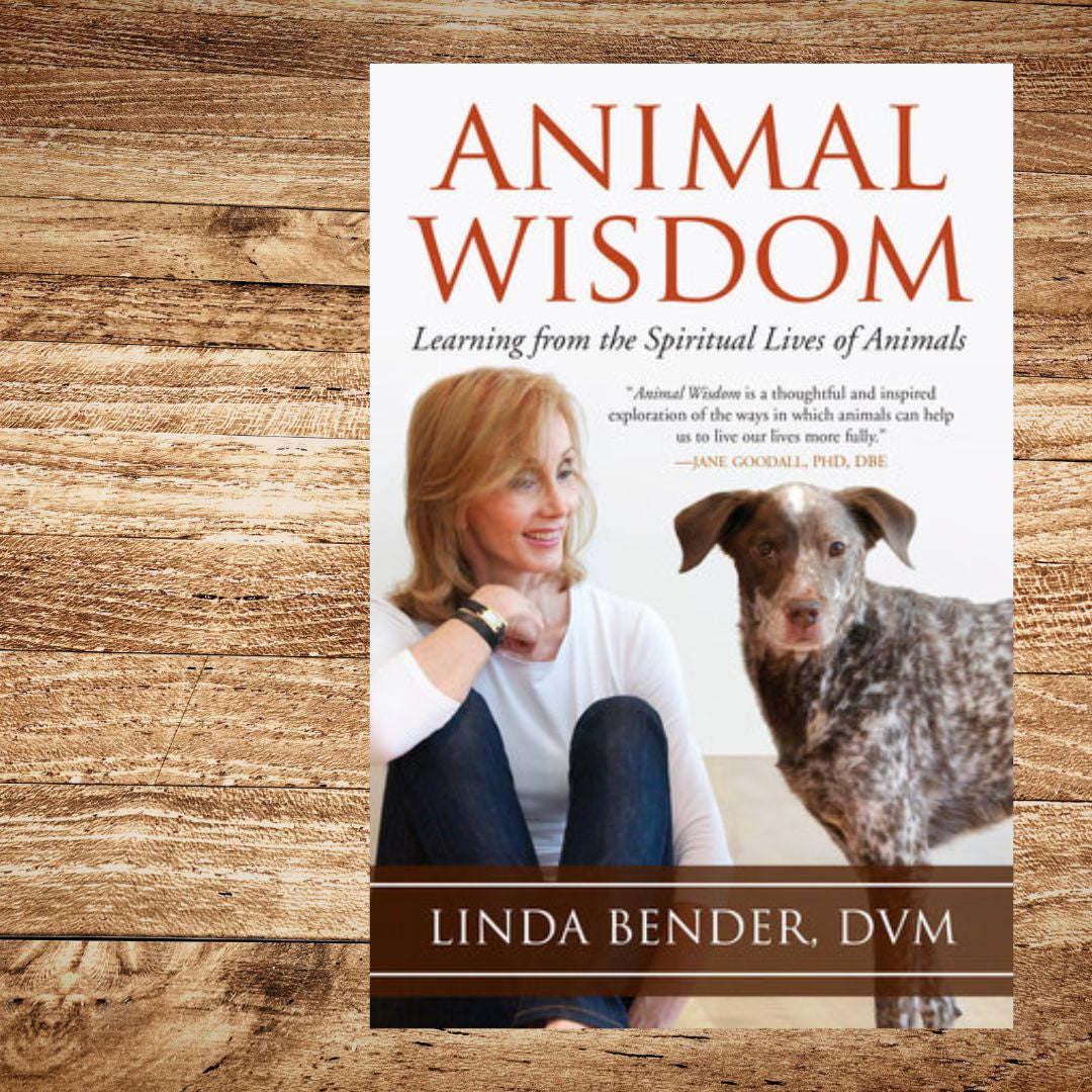 "Animal Wisdom"