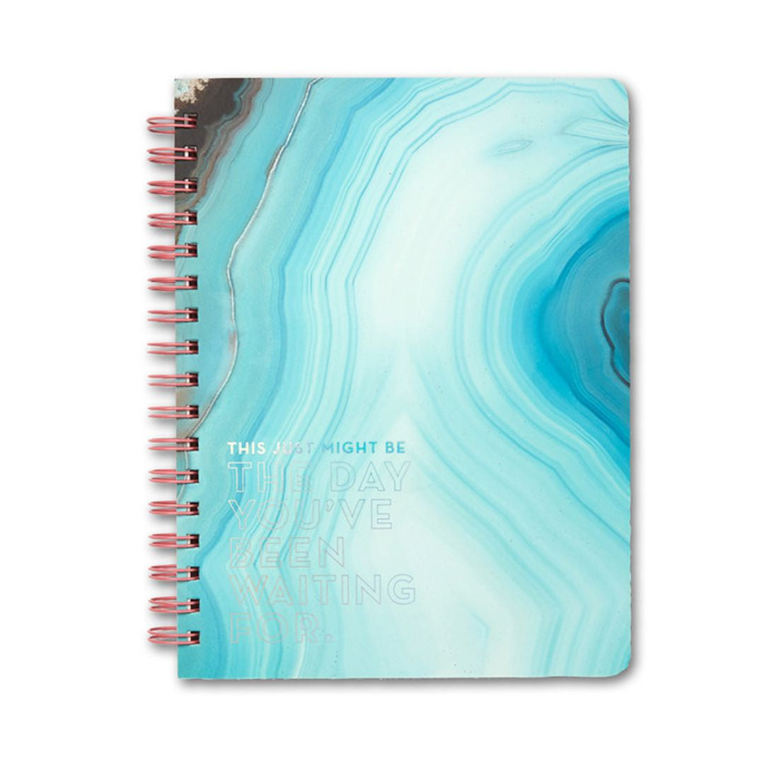 This Just Might be the Day - spiral notebook